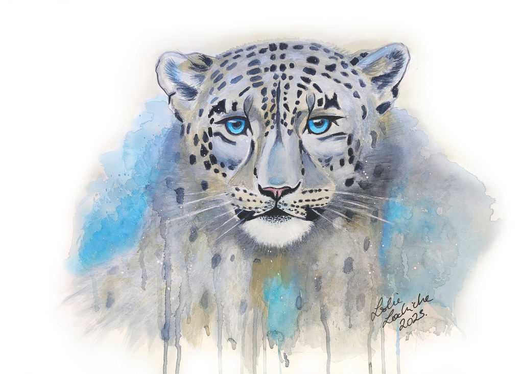 Artistic illustration of a snow leopard with blue eyes on a white background
