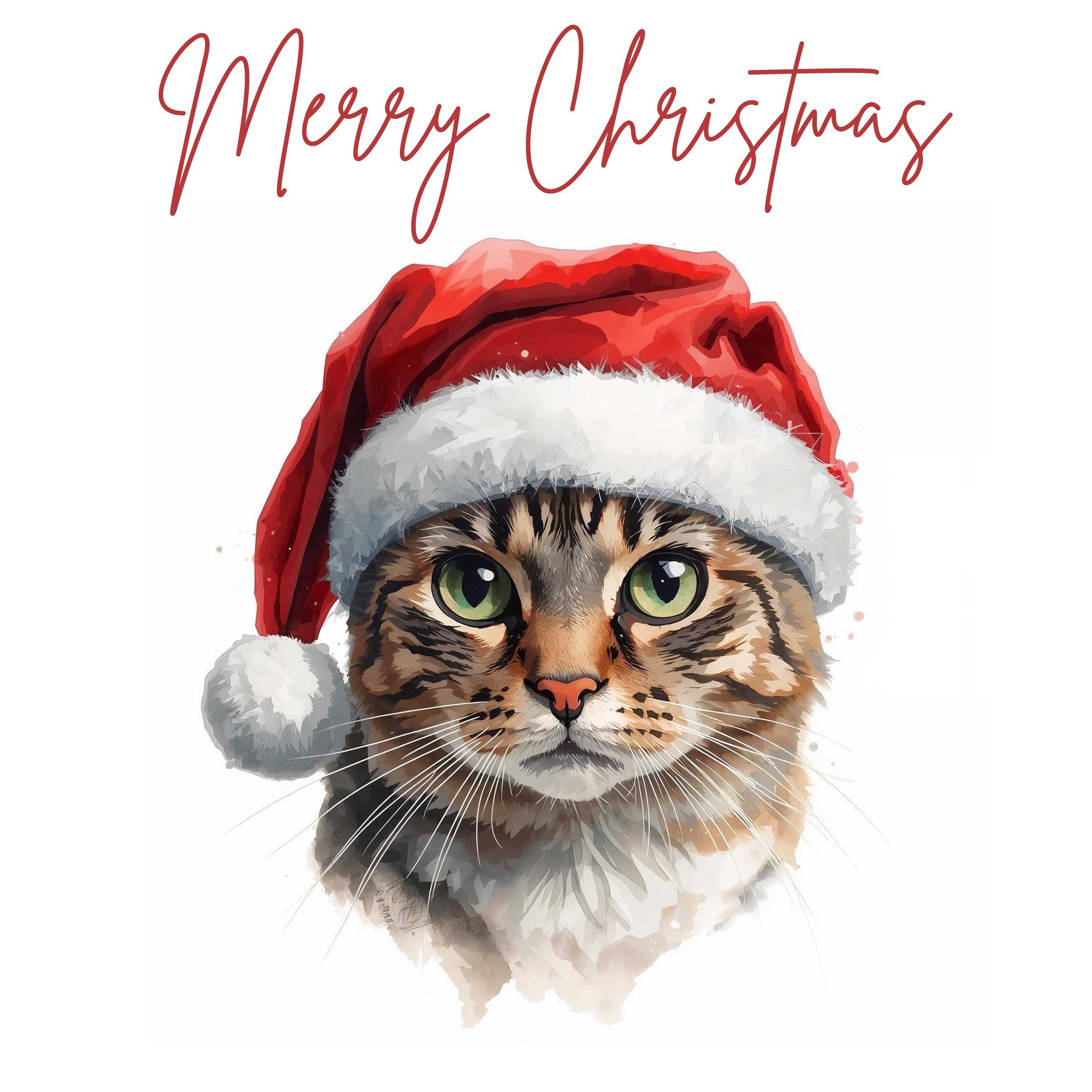 Cats Christmas Card Bundle — Set of 3 Greeting Cards | Leslie lachiche