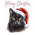 Black Cat | Christmas Greeting Card | Leslie Lachiche