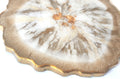 Goldy Coaster — Single Geode Resin Coaster with Gold & Clear Pigments | Leslie Lachiche Art Boutique