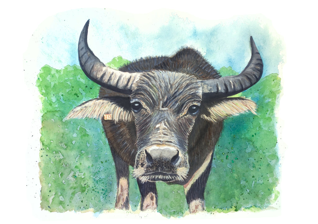Buffalo 1233 - Art Poster | A3 | Lantau | HK LOCAL