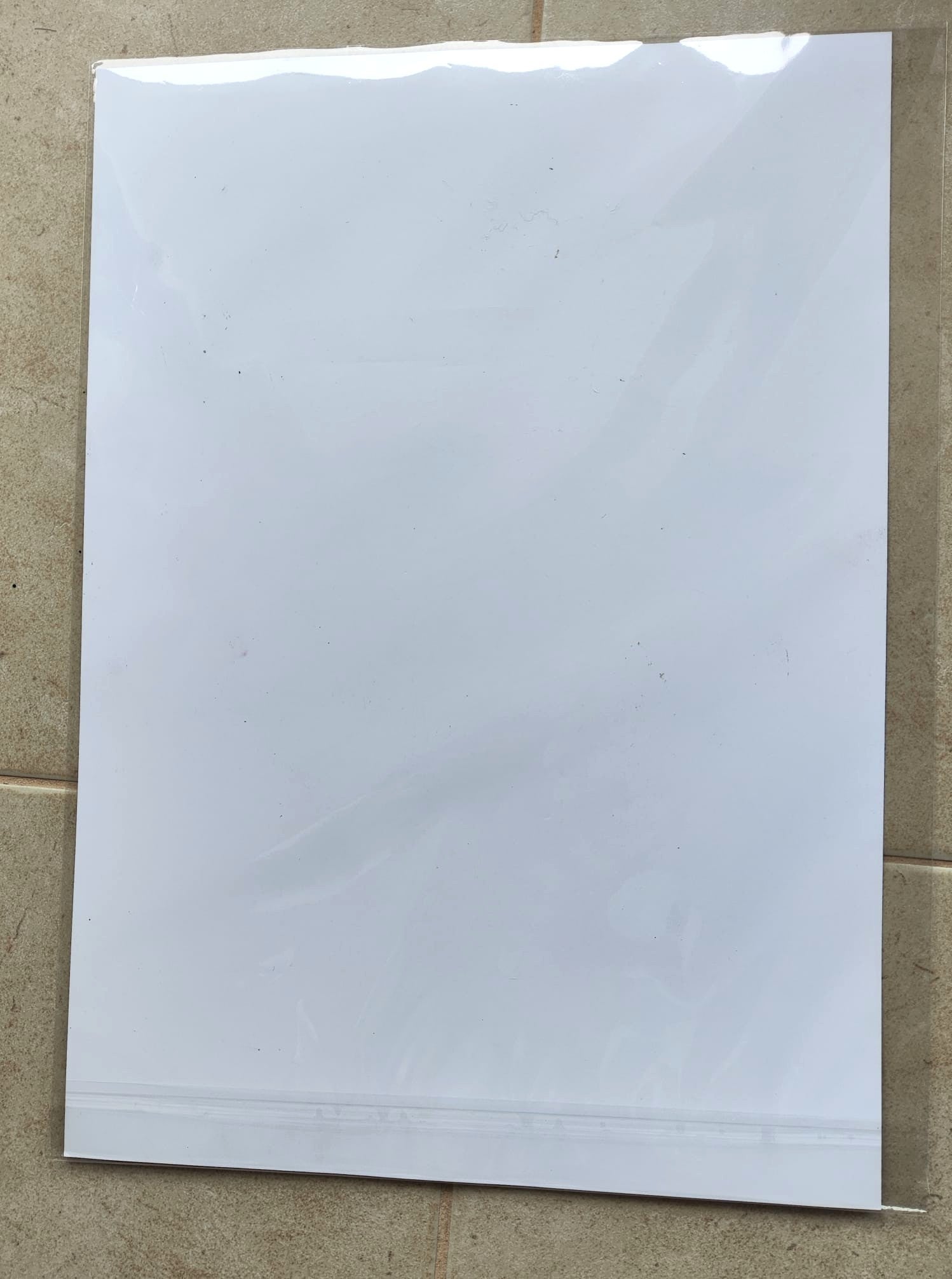 Dragon- Art Poster | Silver Foil | A3 | HK LOCAL