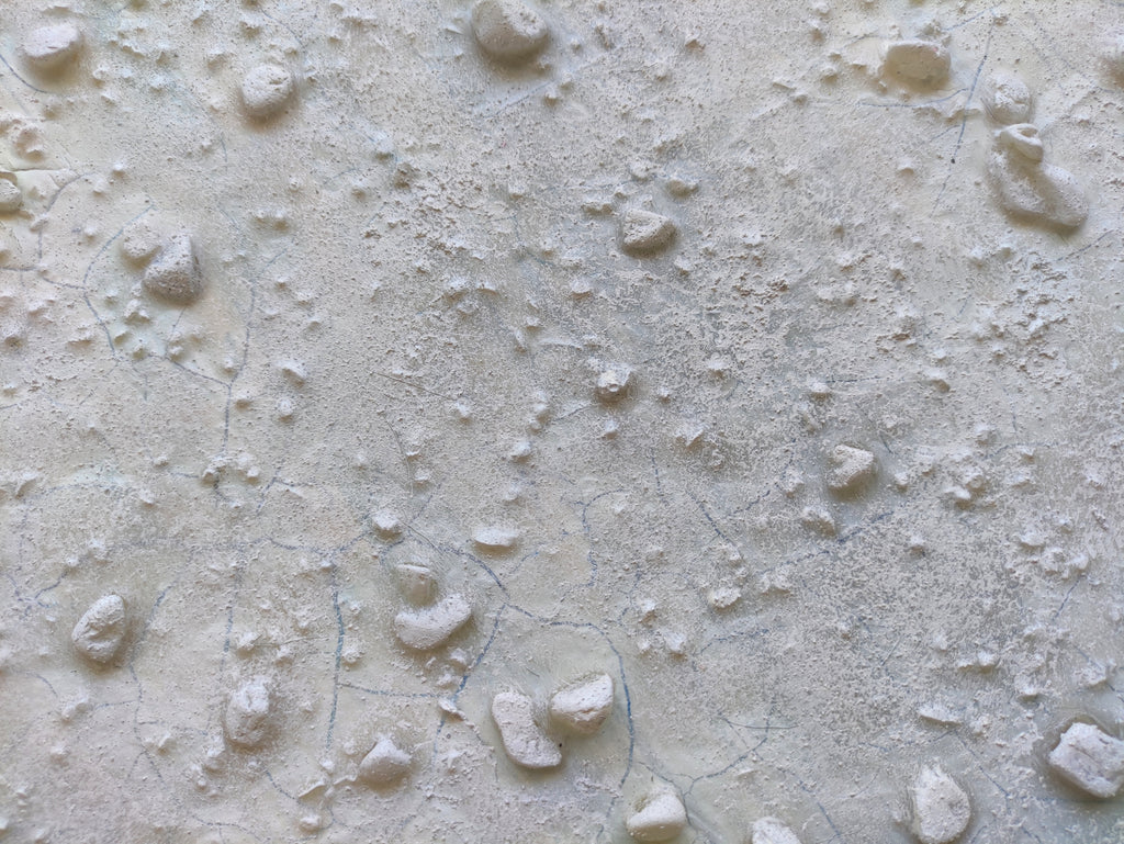 Close-up of textured stone surface with small凸起