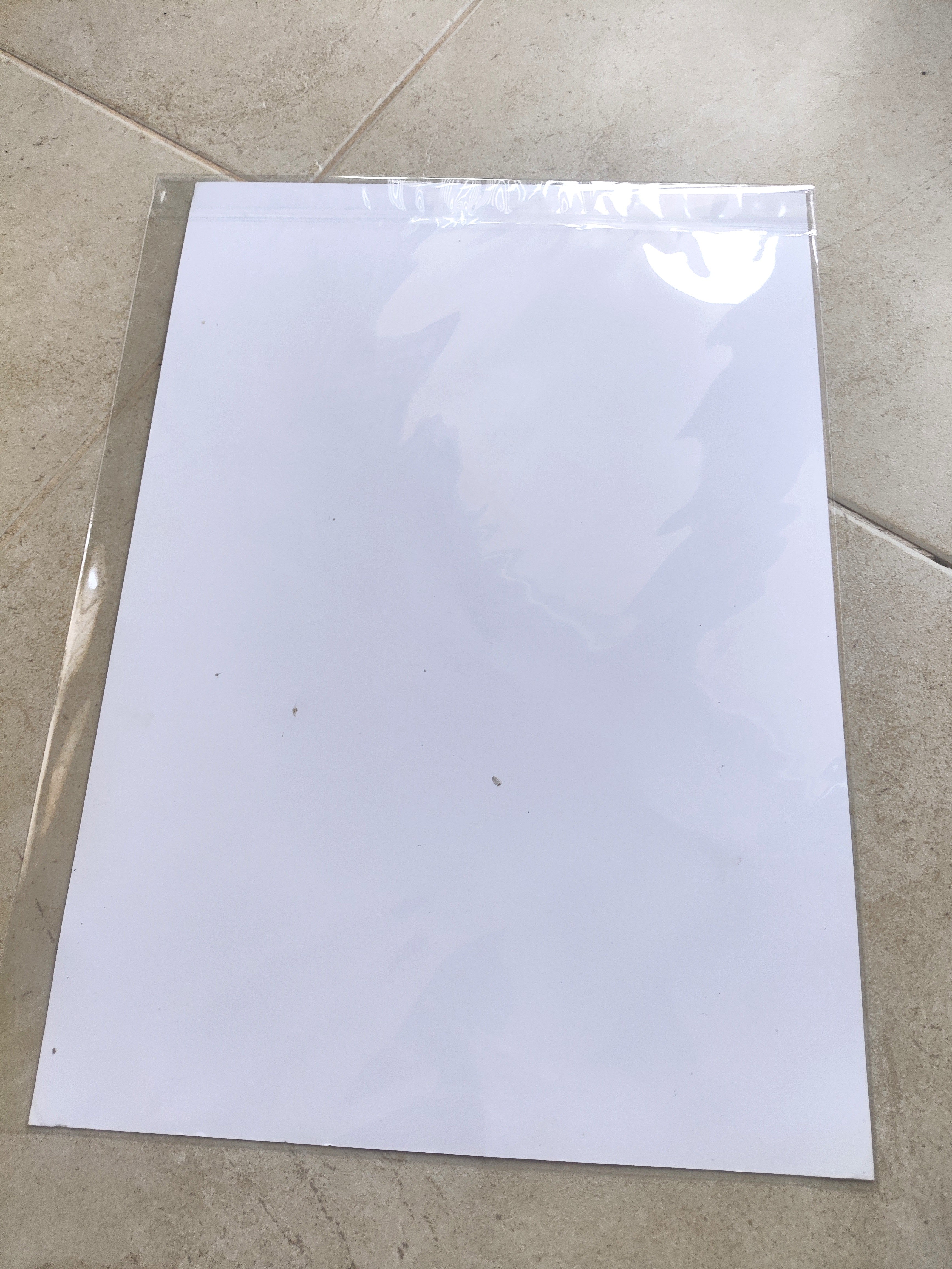 Snake- Art Poster | Gold Foil | A3 | HK LOCAL